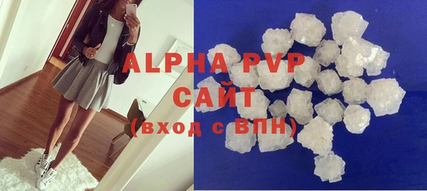 стаф Алзамай