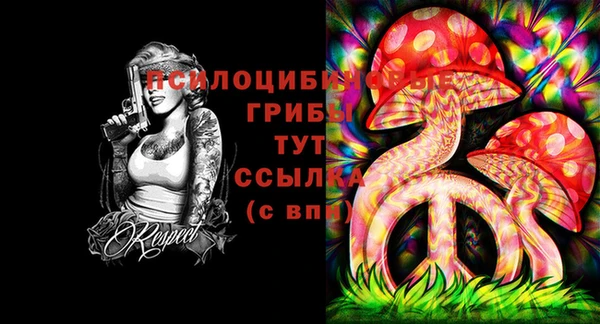 скорость Медвежьегорск
