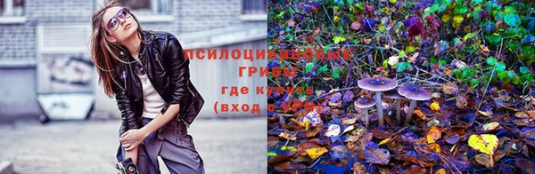 мескалин Мегион