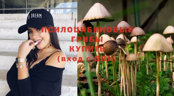 гидропоника Магадан