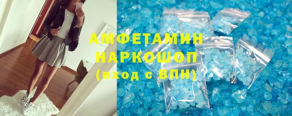 сатива Беломорск