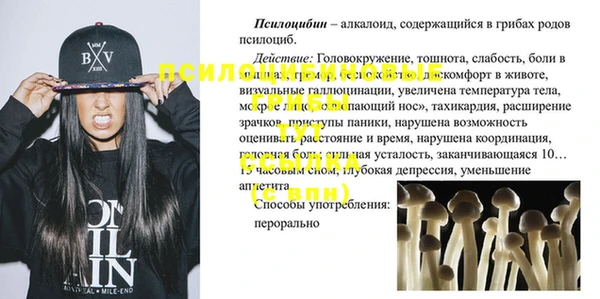 скорость Медвежьегорск
