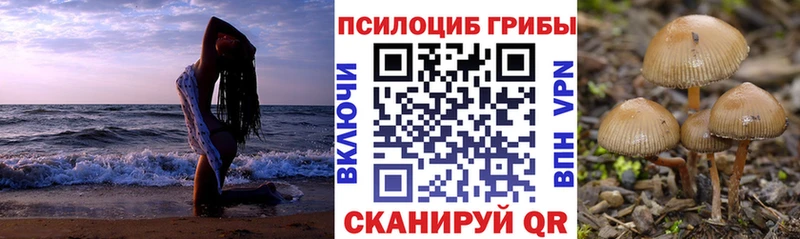 omg ТОР  Лысьва  Галлюциногенные грибы прущие грибы 