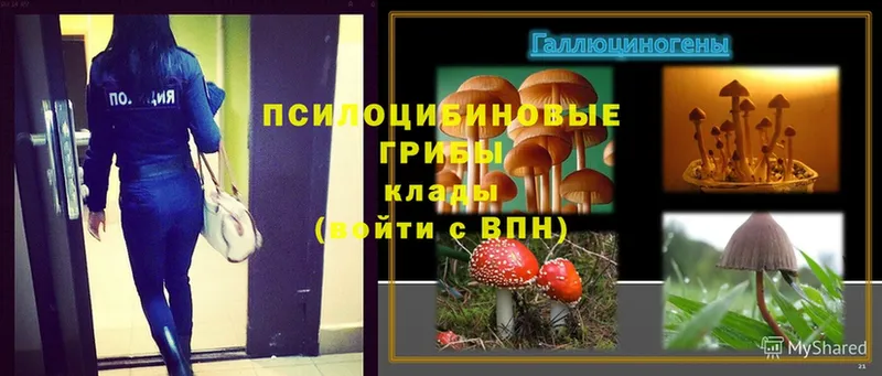 наркошоп  Лысьва  маркетплейс какой сайт  Псилоцибиновые грибы MAGIC MUSHROOMS 