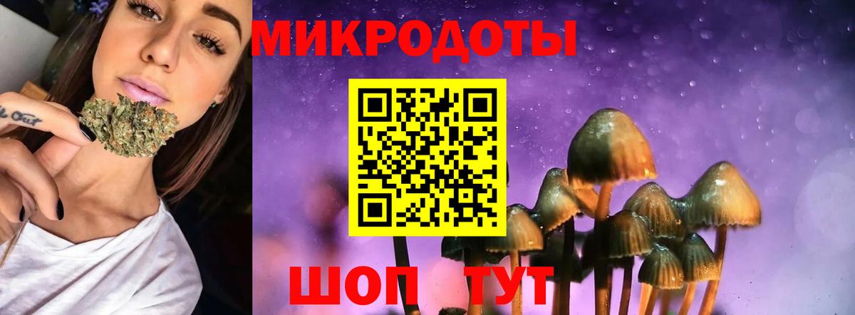 Галлюциногенные грибы прущие грибы  Лысьва  хочу наркоту  Псилоцибиновые грибы Psilocybine cubensis 